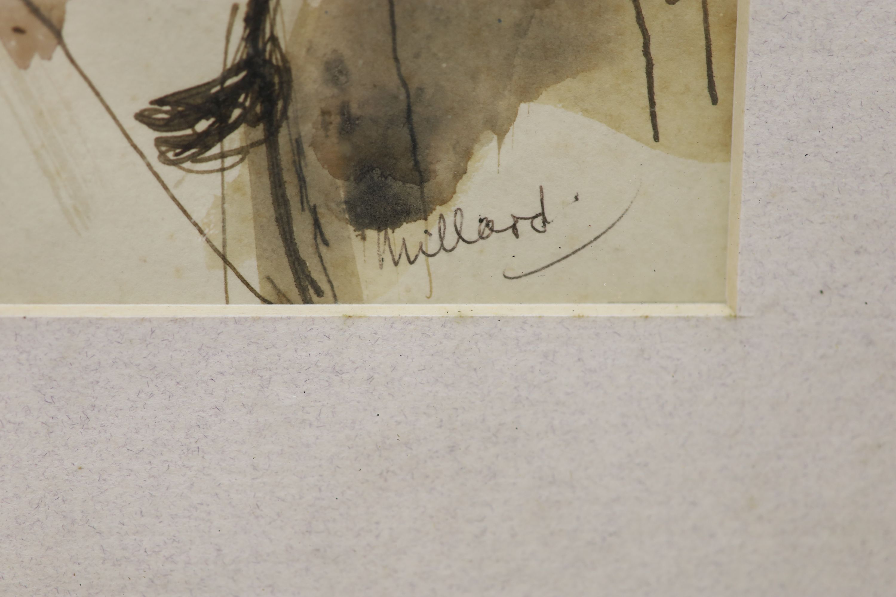 Patrick Ferguson Millard (1902-1977), ink and watercolour, Head study, signed with label verso, 24 x 17cm